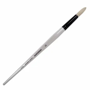 Daler Rowney Graduate Brush Long Handle Bristle Round 10=11mm