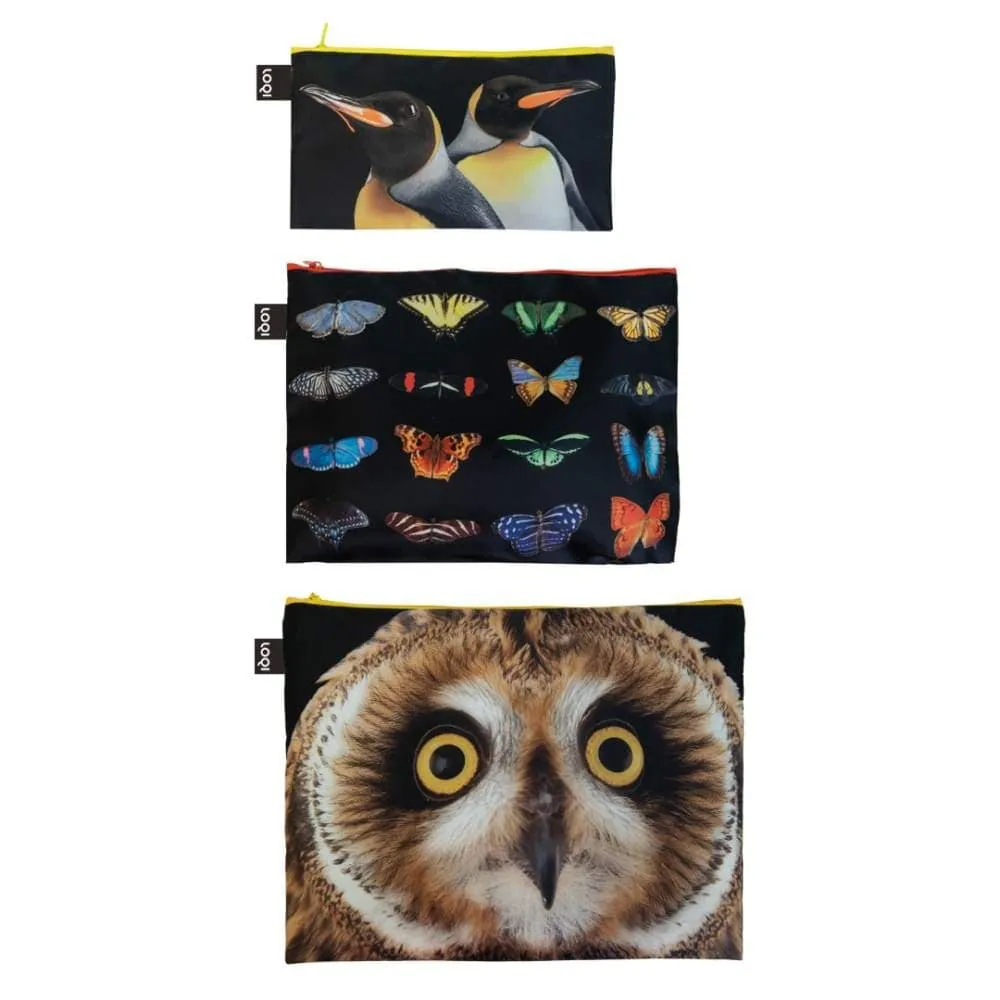 Loqi Zip Pocket (Set Of 3) National Geographic Collection - Owl Butterflies Penguins