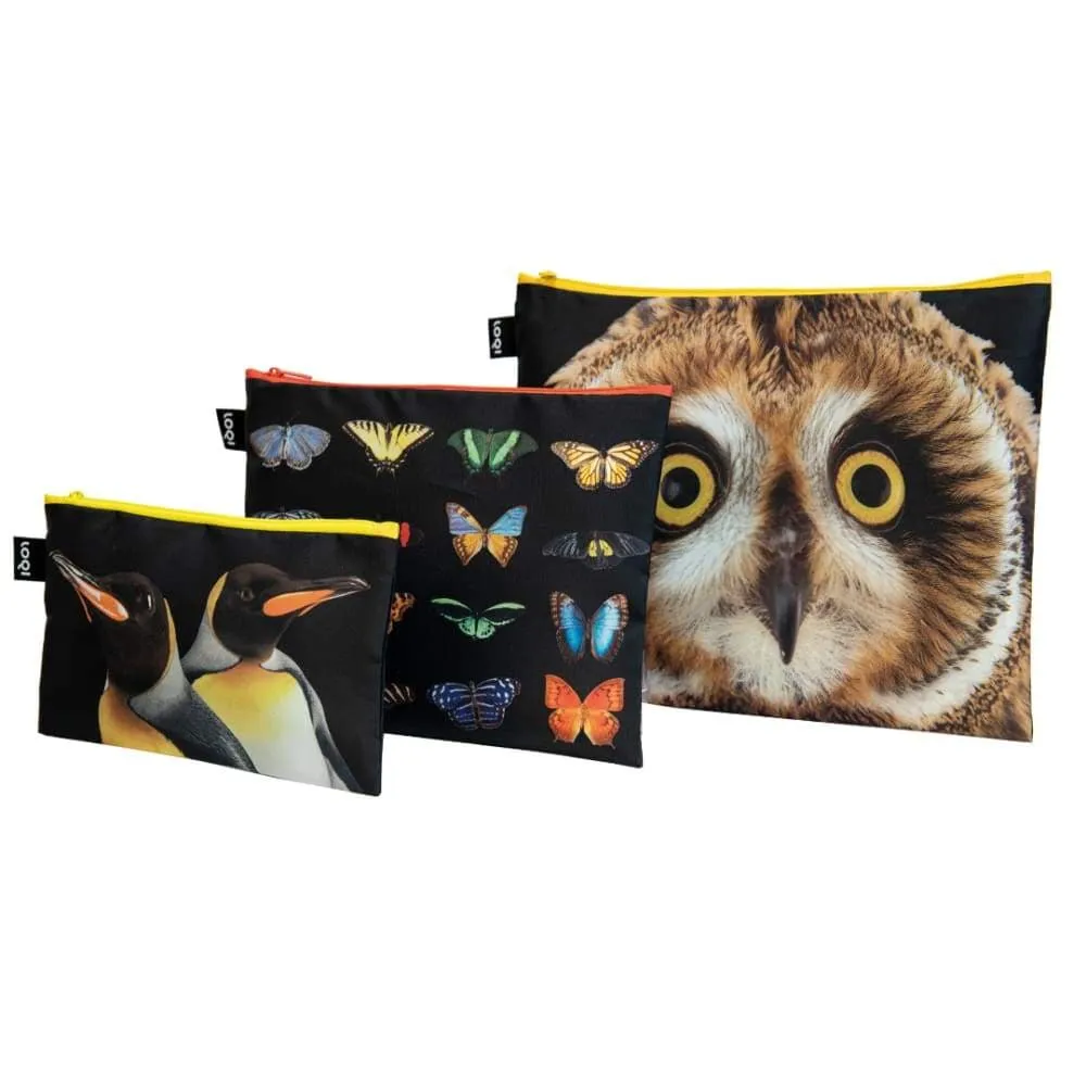 Loqi Zip Pocket (Set Of 3) National Geographic Collection - Owl Butterflies Penguins