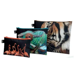 Loqi Zip Pocket (Set Of 3) National Geographic Collection - Tiger Chameleon Flamingos